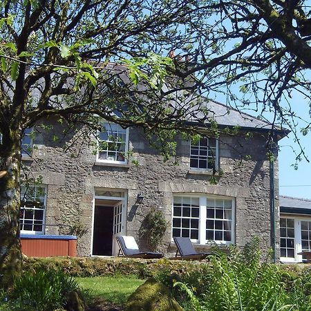 Wydemeet Bed & Breakfast Yelverton Dış mekan fotoğraf