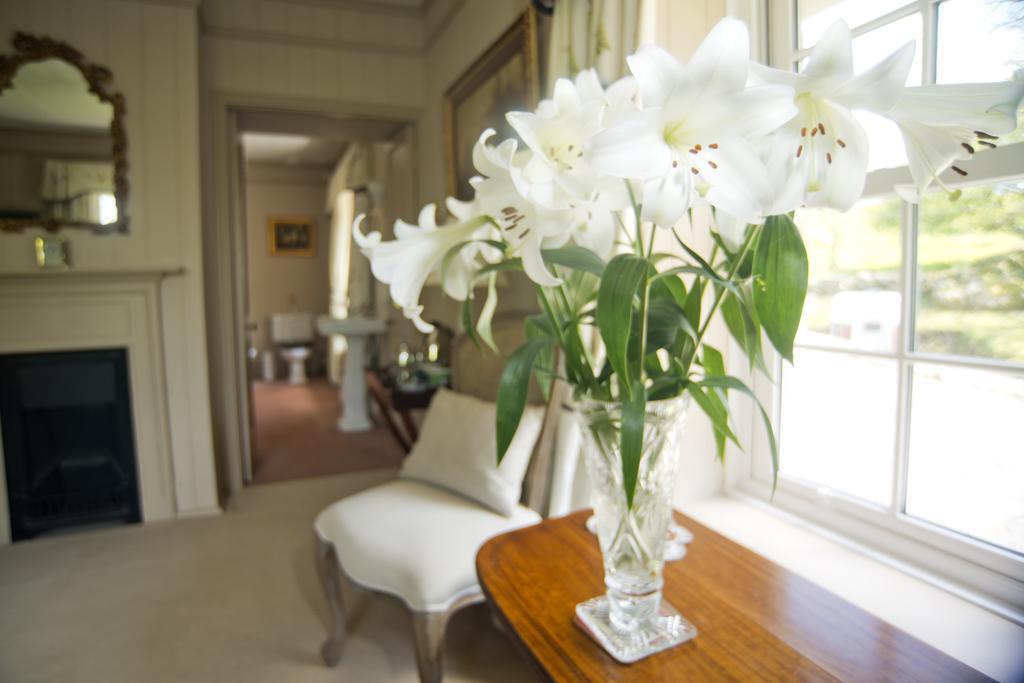 Wydemeet Bed & Breakfast Yelverton Dış mekan fotoğraf